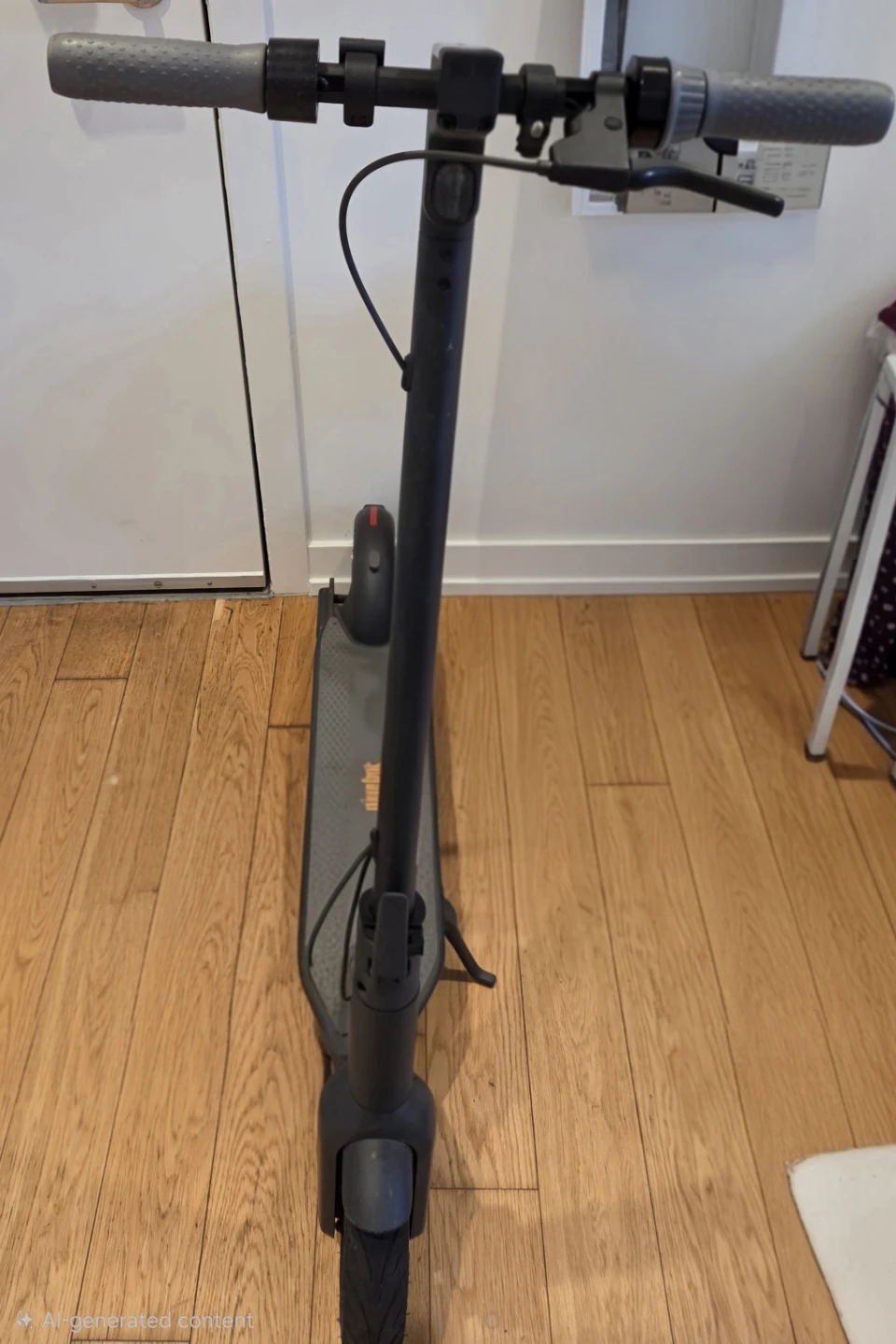 Ninebot Kickscooter E25 Electric Scooter - photo 2