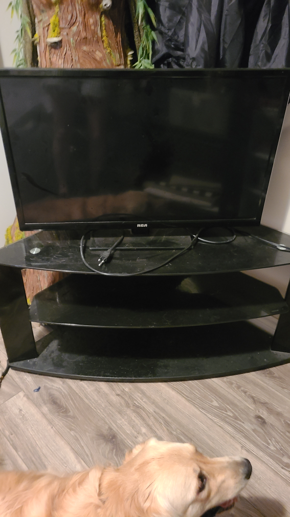 RCA TV and stand