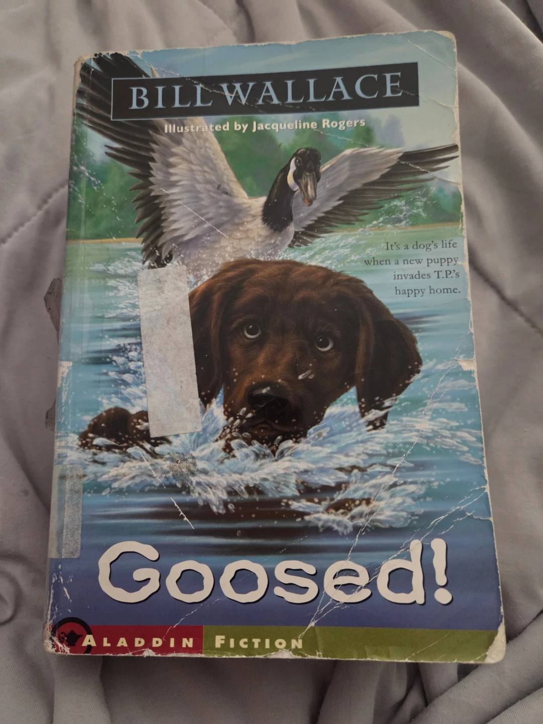 10 books $3 for each or $30 for all - photo 4