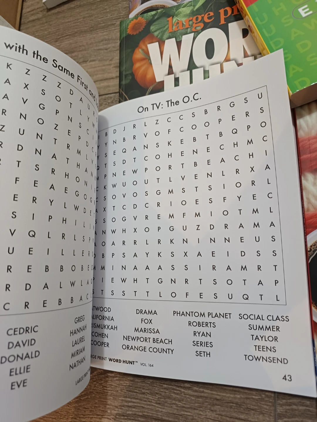 Large Print Word Search Books - photo 2