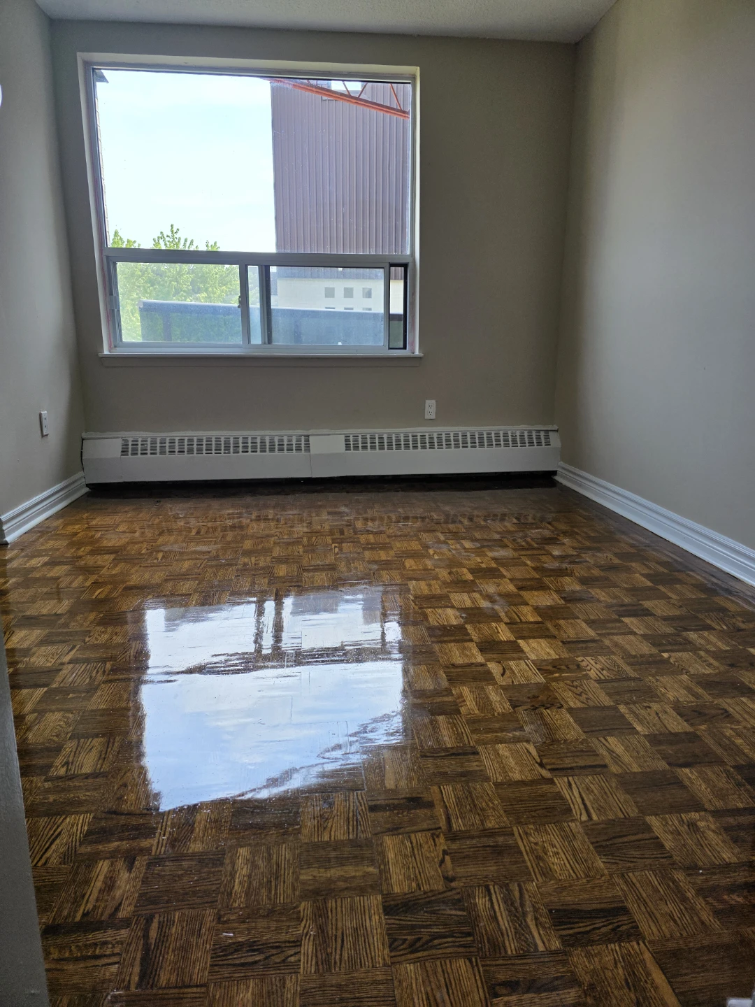 Female Room For Rent