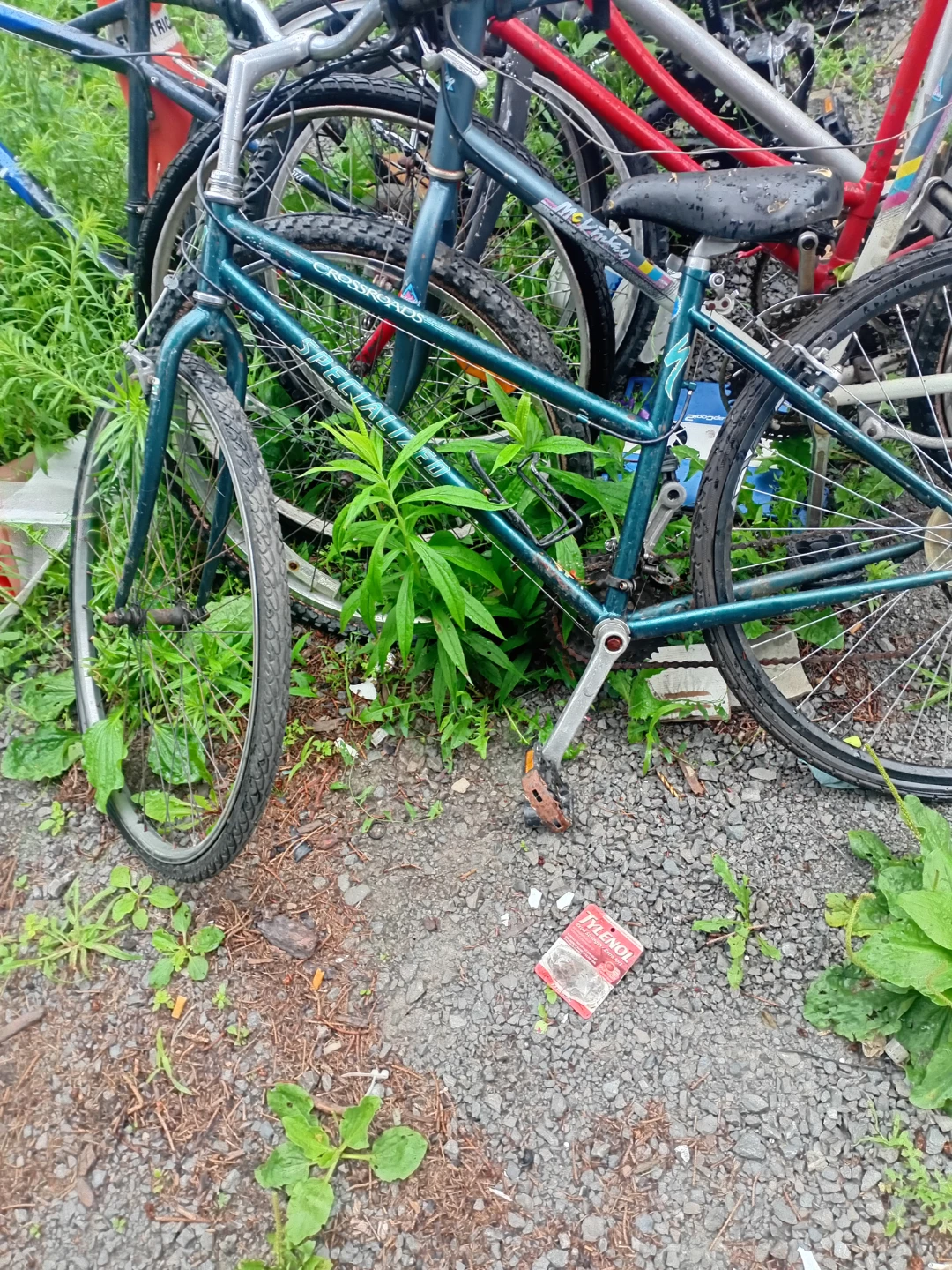 Specialized Crossroads Bicycle