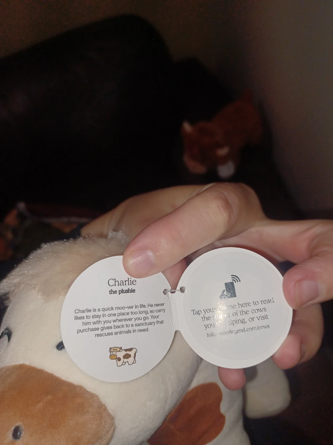 Two Plushie Cows - photo 2