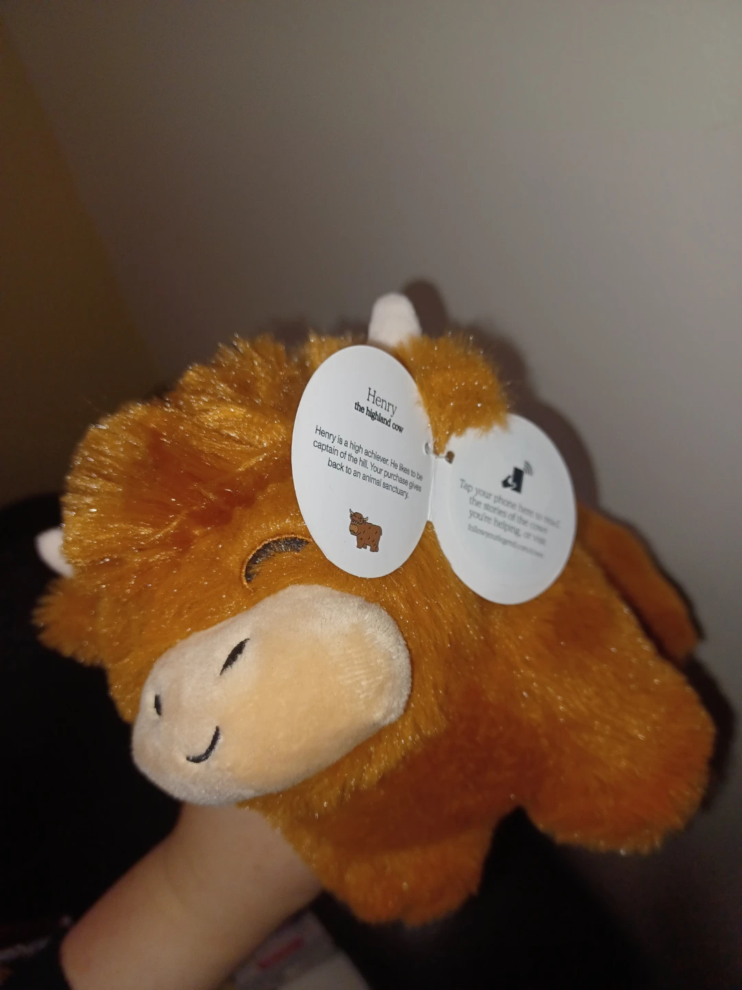 Two Plushie Cows - photo 5