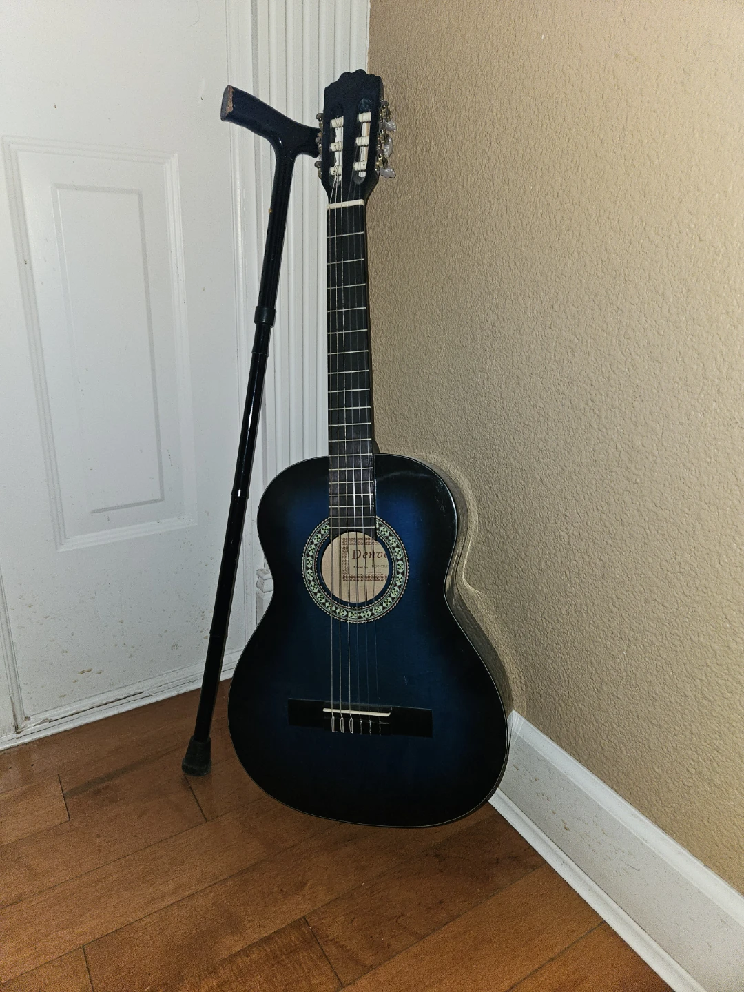 Blue Kids Acoustic Guitar