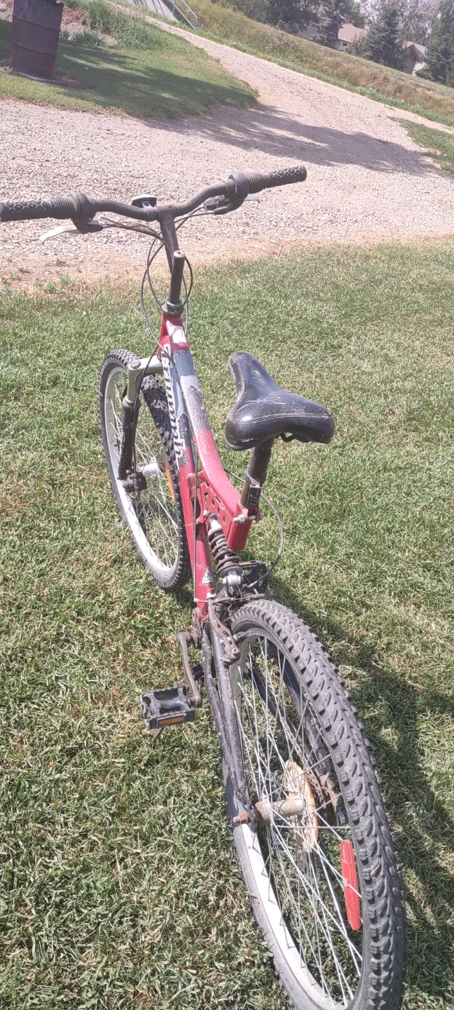 Triumph Mountain Bike - photo 3
