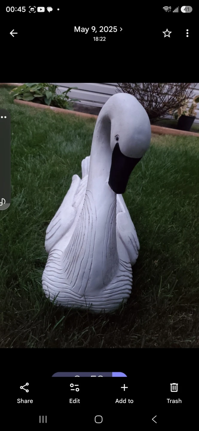 White Swan Garden Statue - photo 5