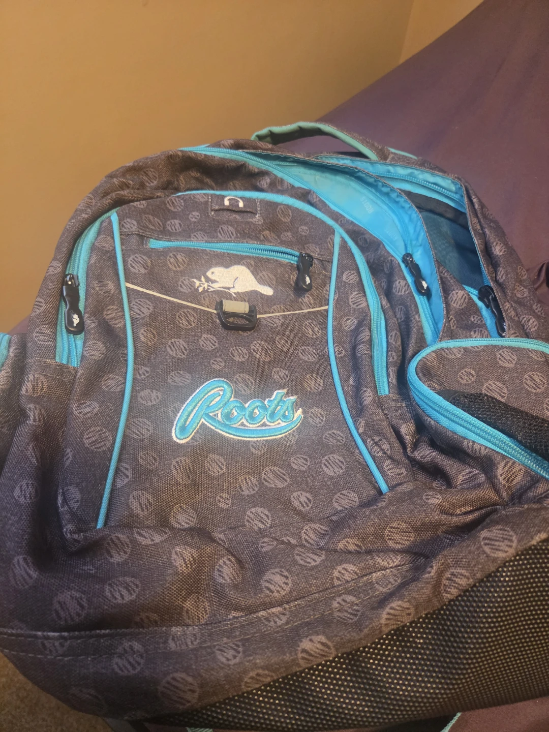 Roots Backpack used