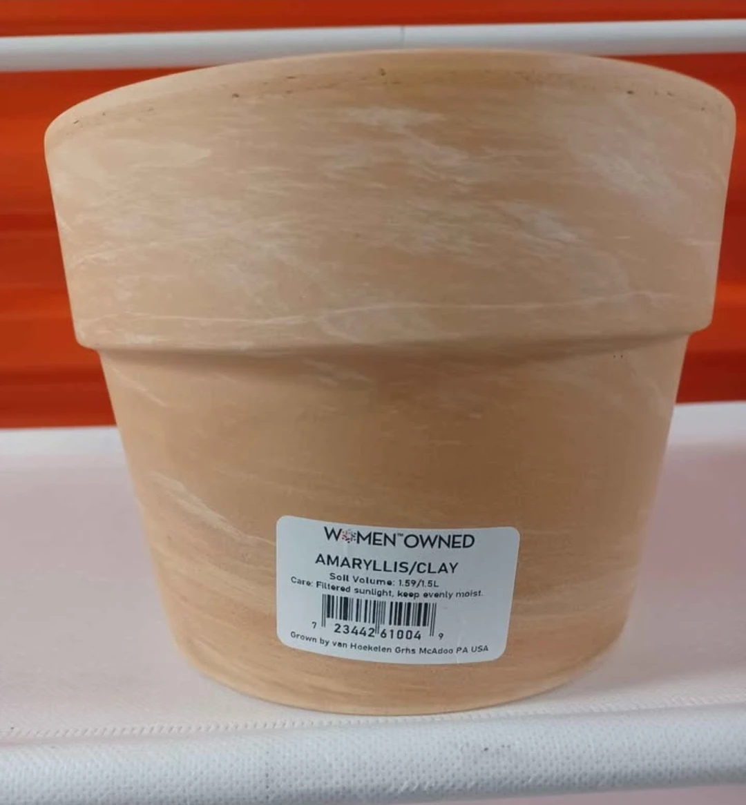 6” Round Marbled Terracotta Clay Planter Flower Pot