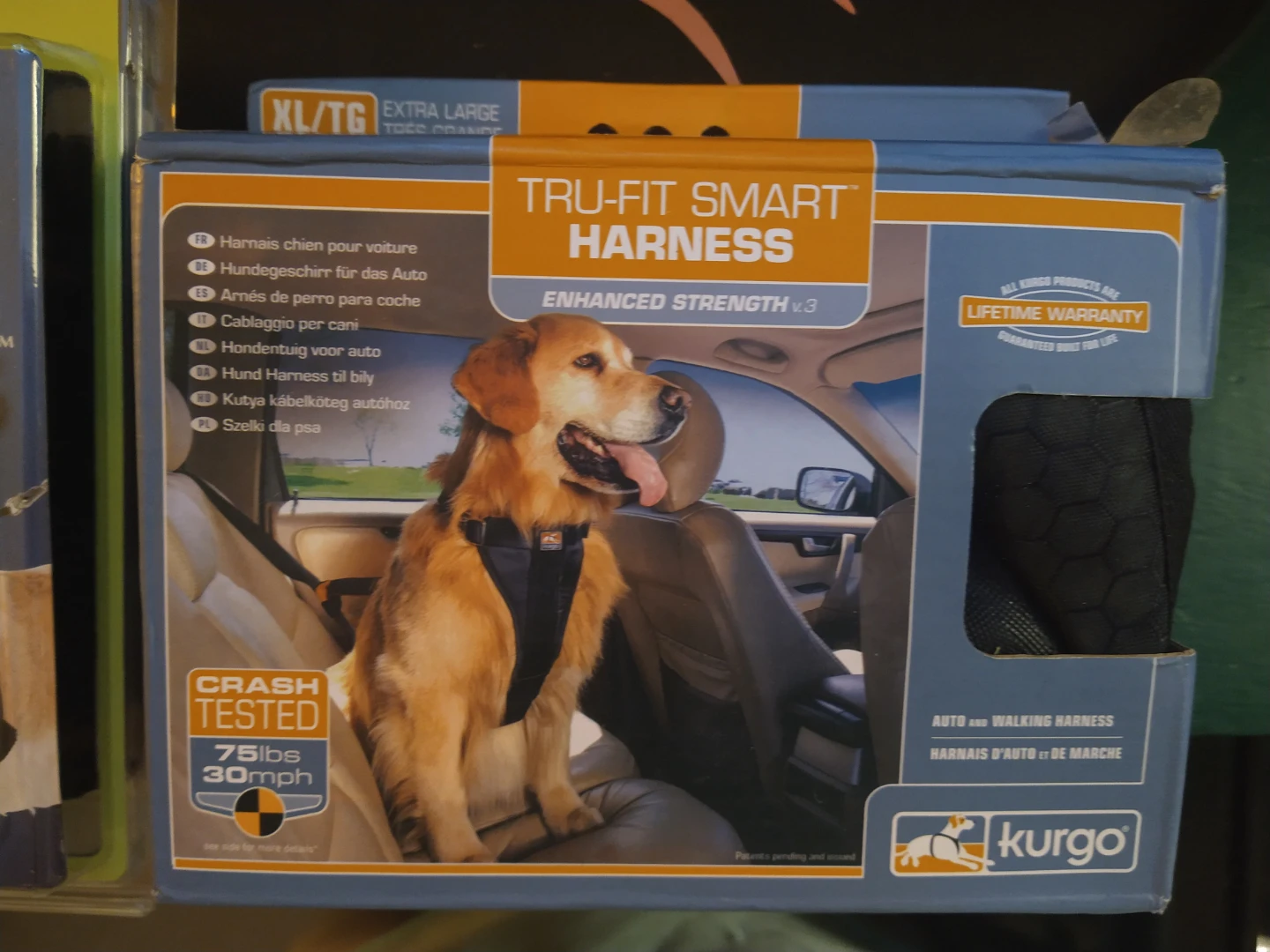 Dog seat belt / harness
