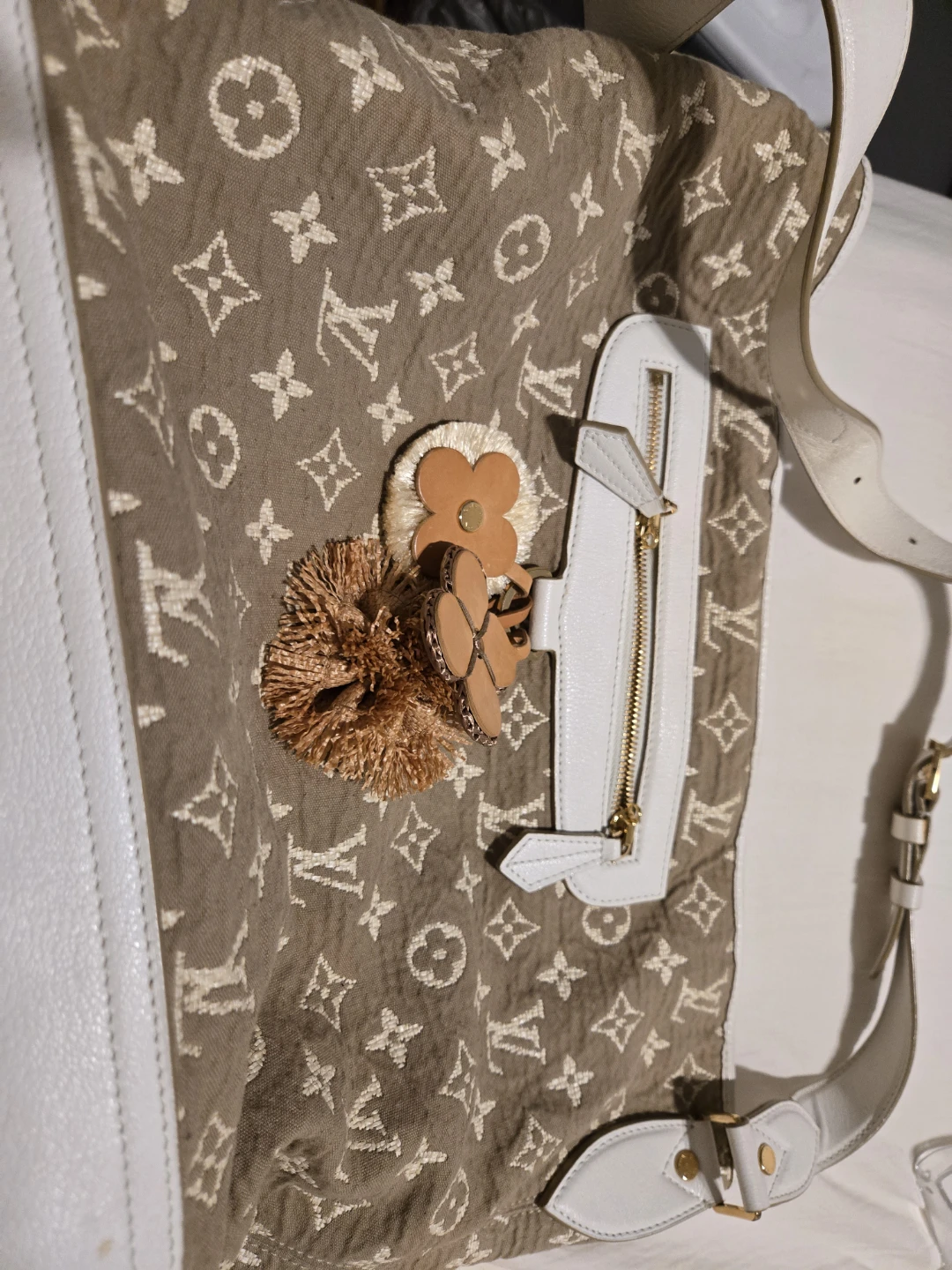 Louis Vuitton Monogram Canvas Bag