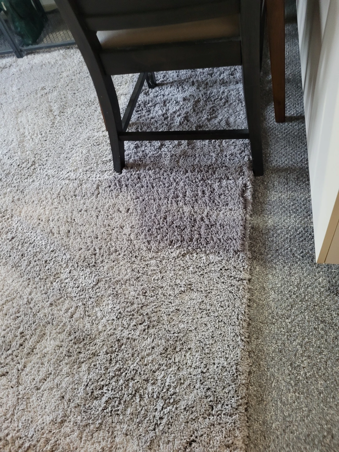 Shag Area Rug - photo 4