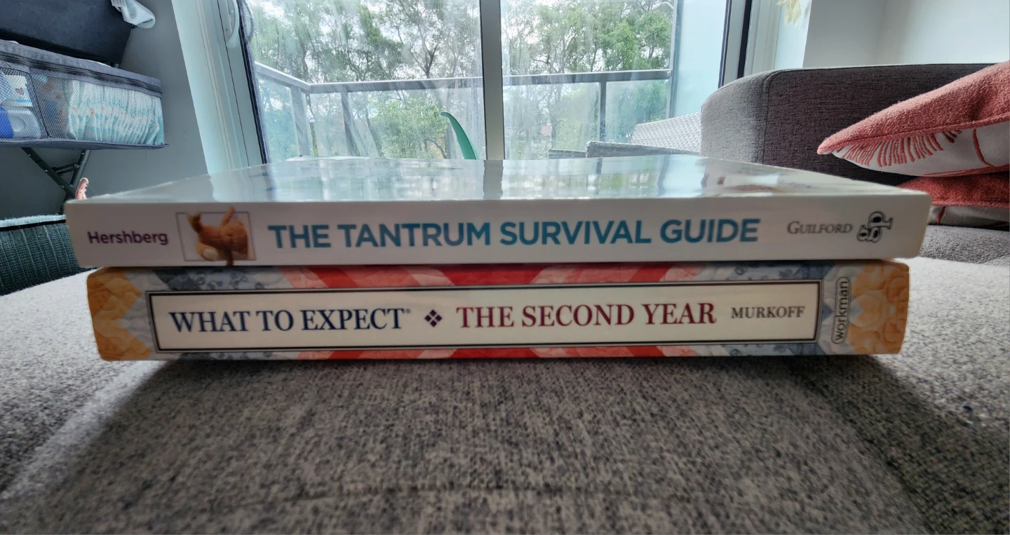 Parenting Books - photo 3