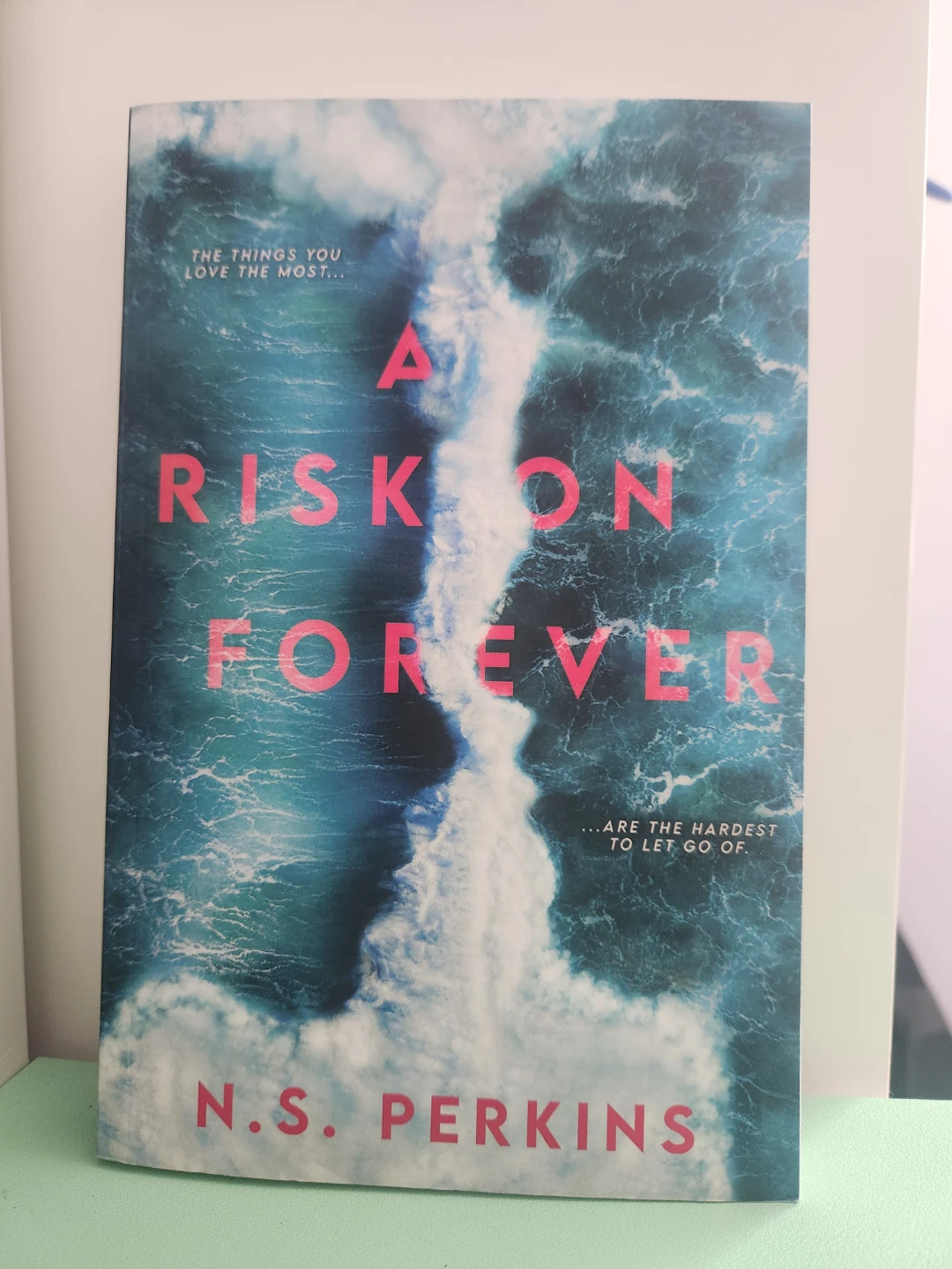 A Risk on Forever by N.S. Perkins Book
