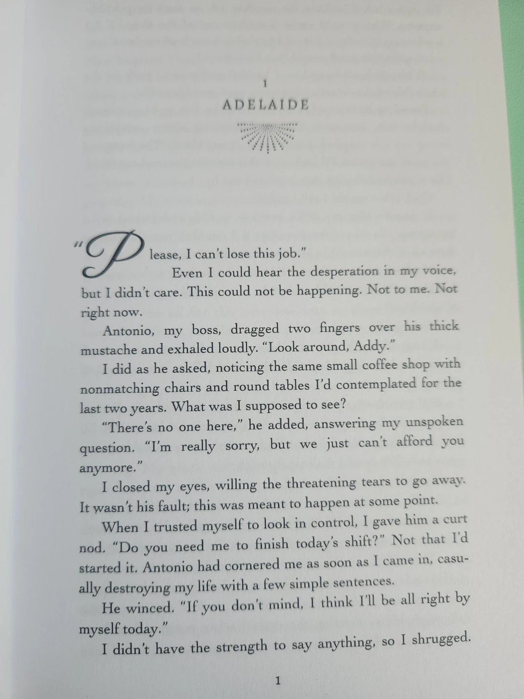 A Risk on Forever by N.S. Perkins Book - photo 3
