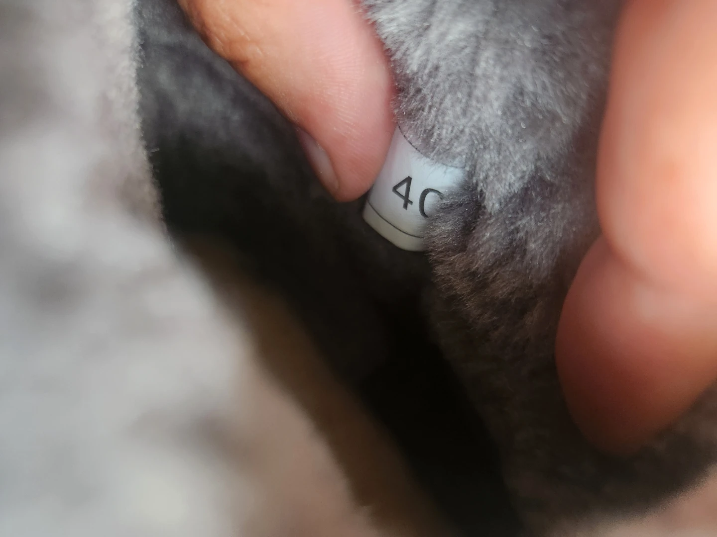 UGG Classic Ultra Mini Grey Boots - photo 5