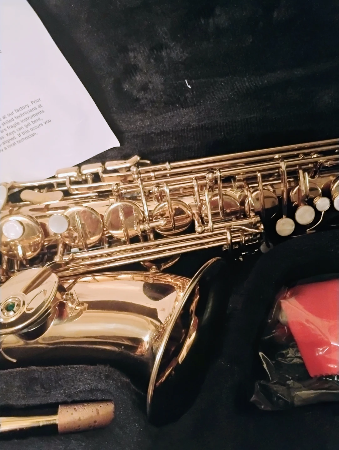 Gold Alto Saxophone with Case - photo 2