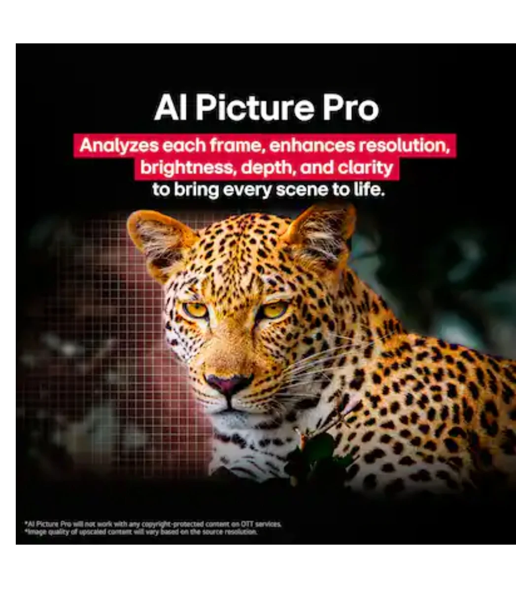 LG  65" Class C5 OLED evo AI 4K UHD webOS TV - photo 3