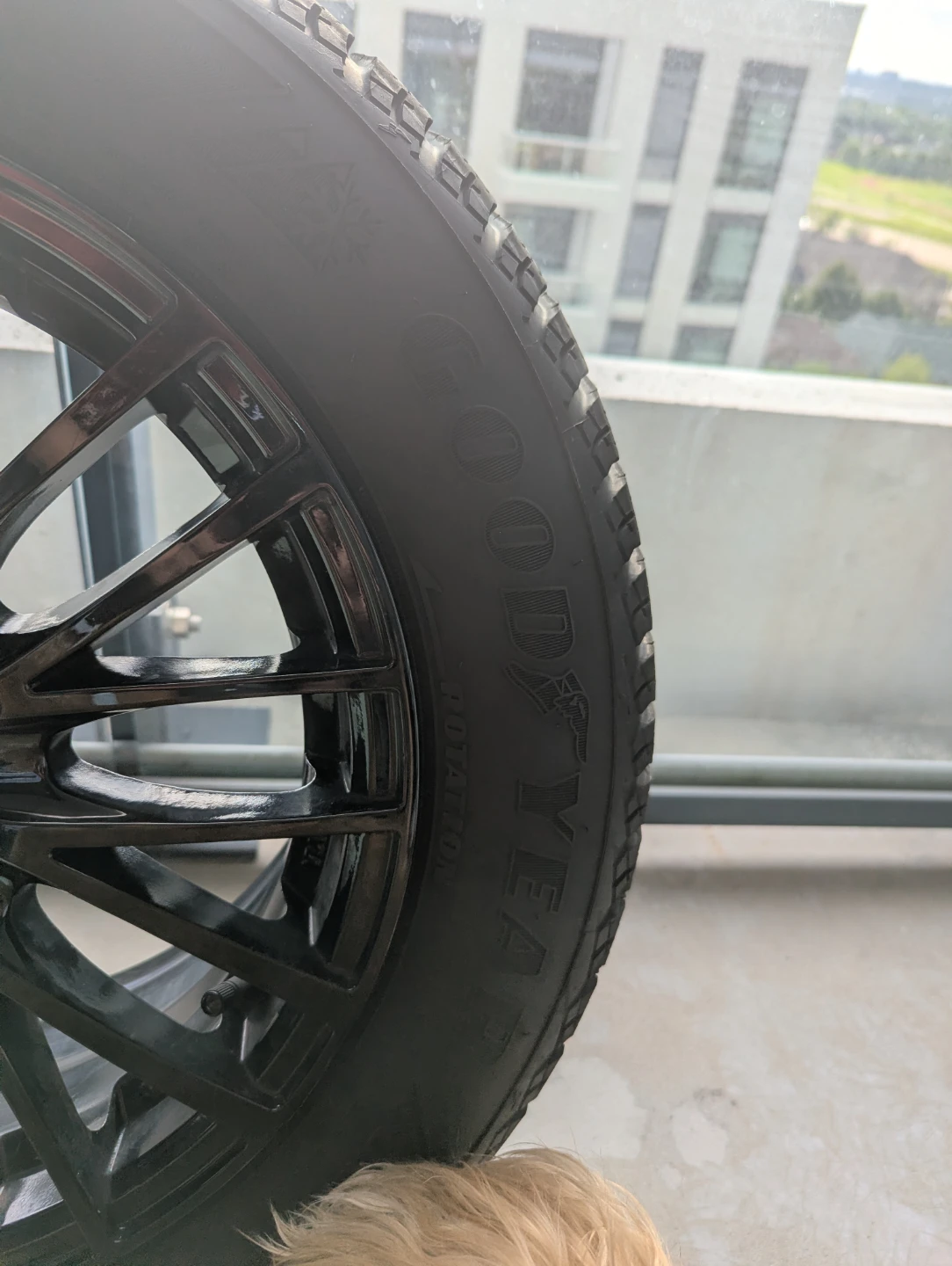 Goodyear Winter Tire with Black Rim - photo 2