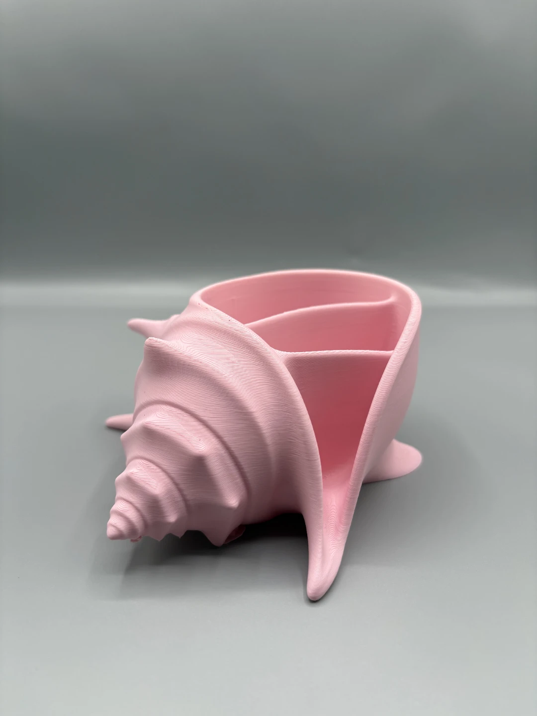 Seashell desk organiser - photo 2