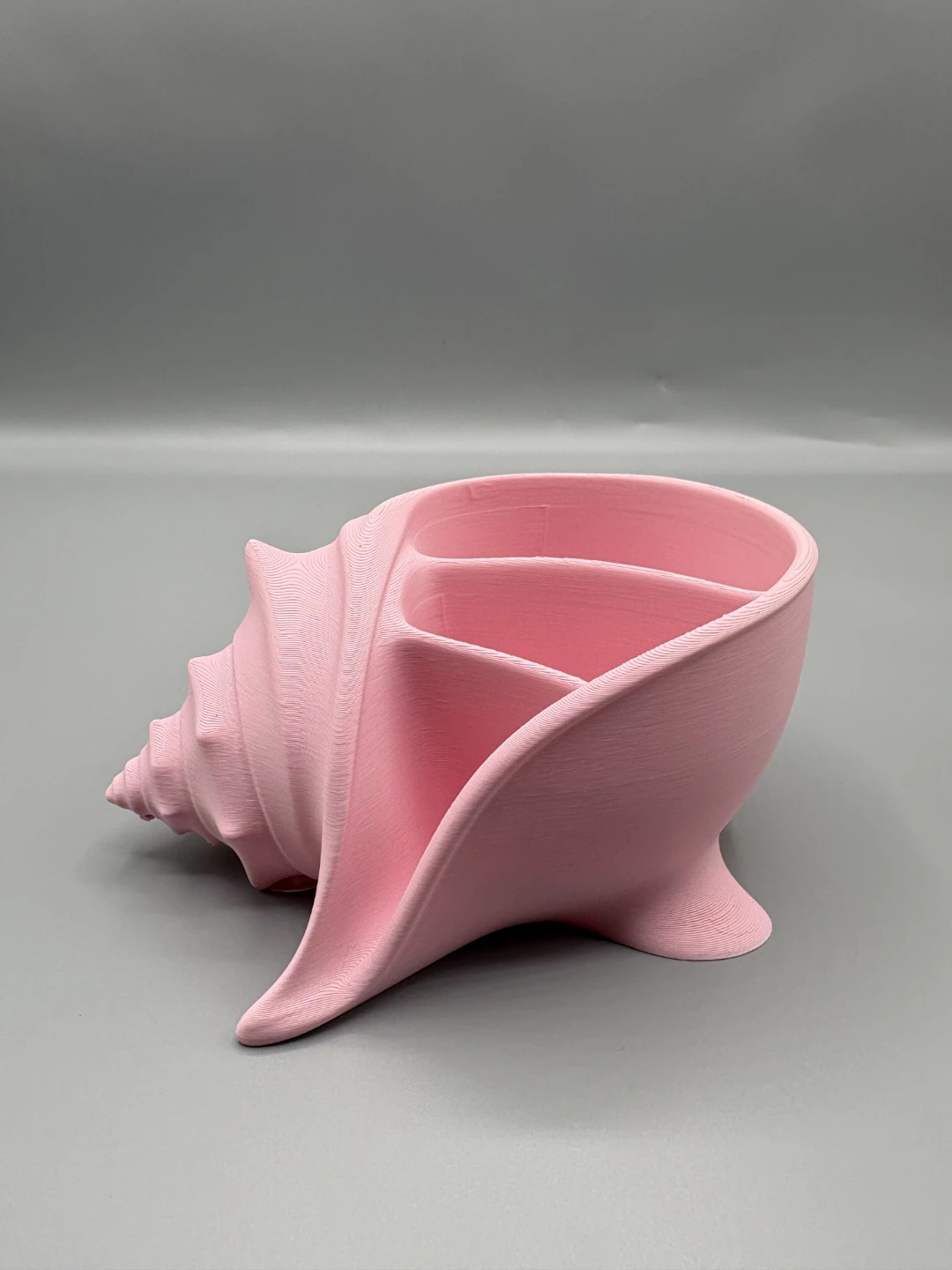 Seashell desk organiser - photo 3