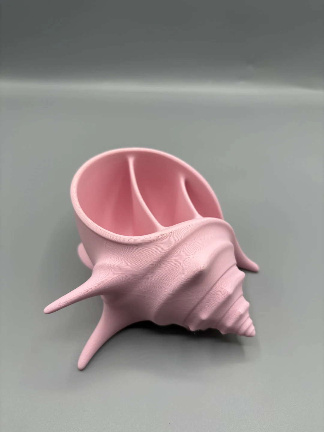 Seashell desk organiser - photo 4