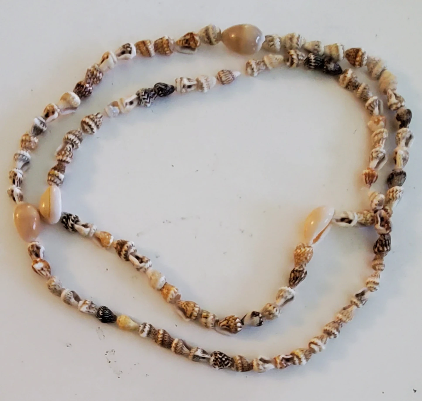 Seashell Necklace
