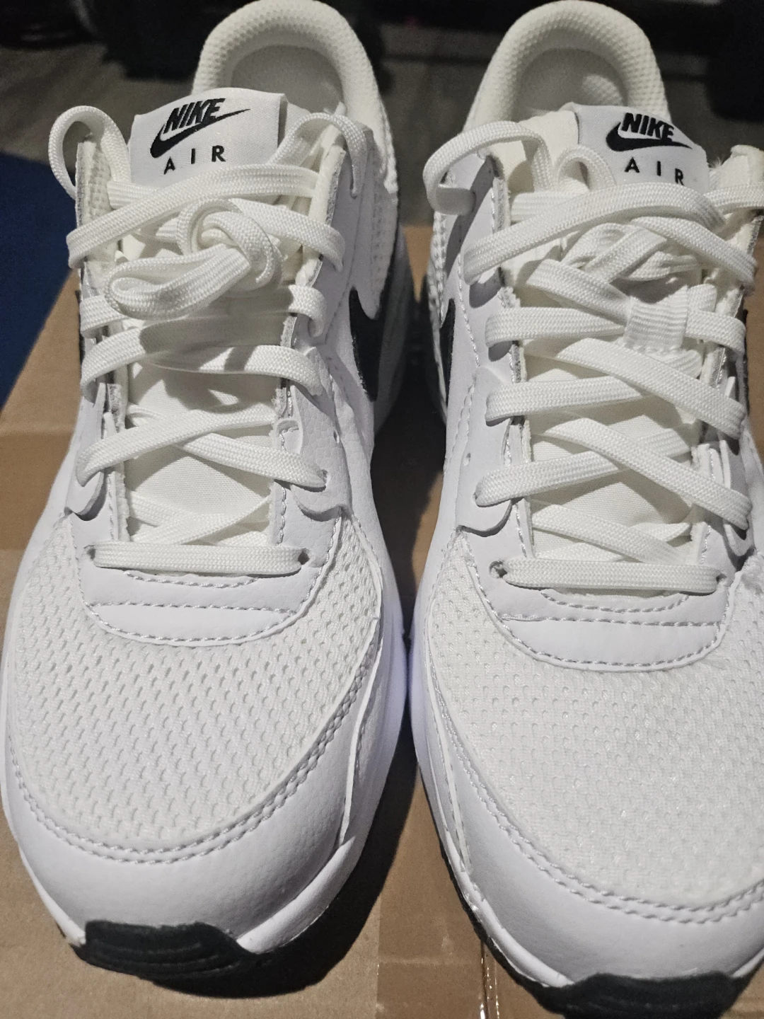 Nike Air Max White Sneakers