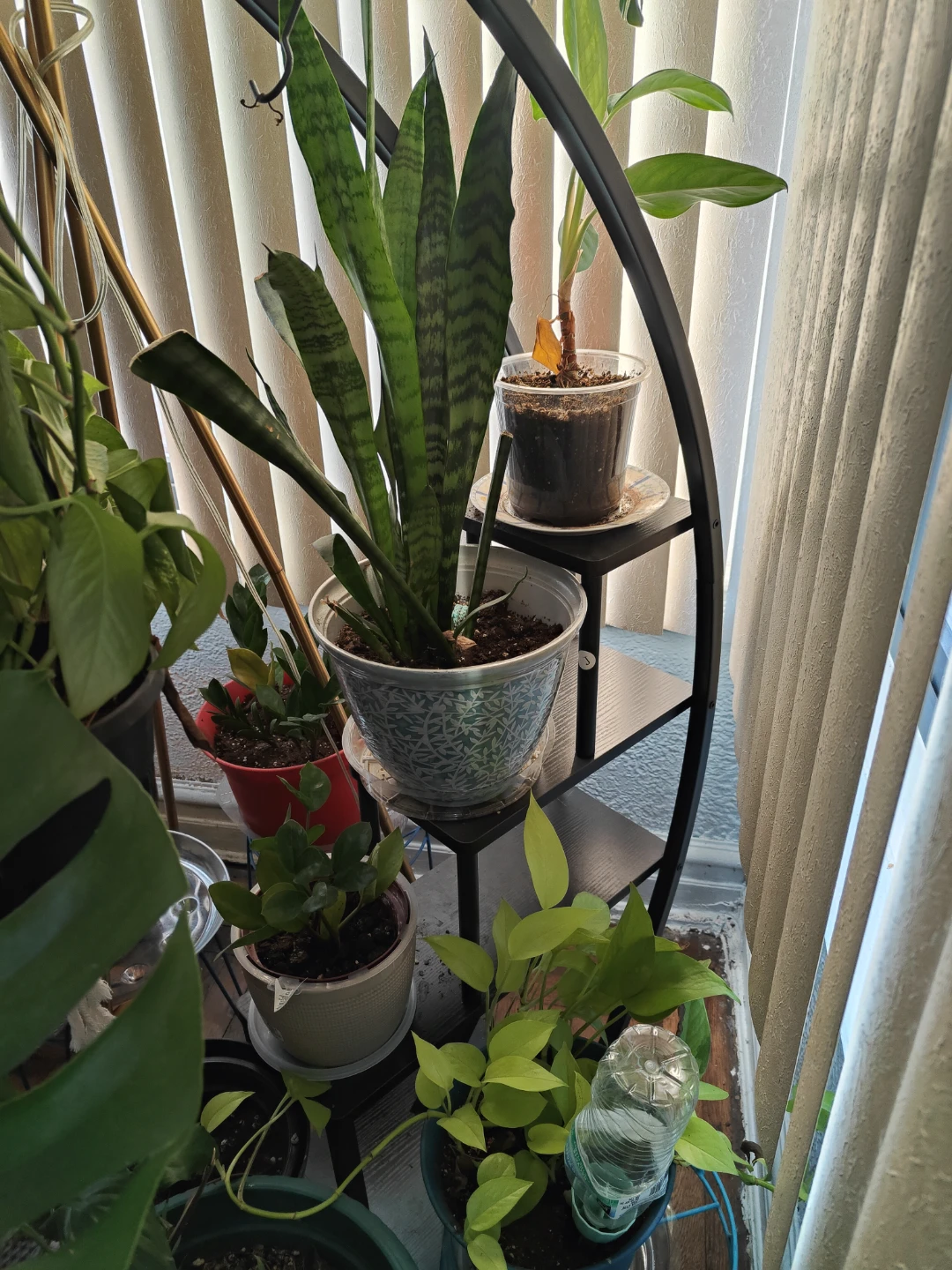 Curve Plant stand - photo 3