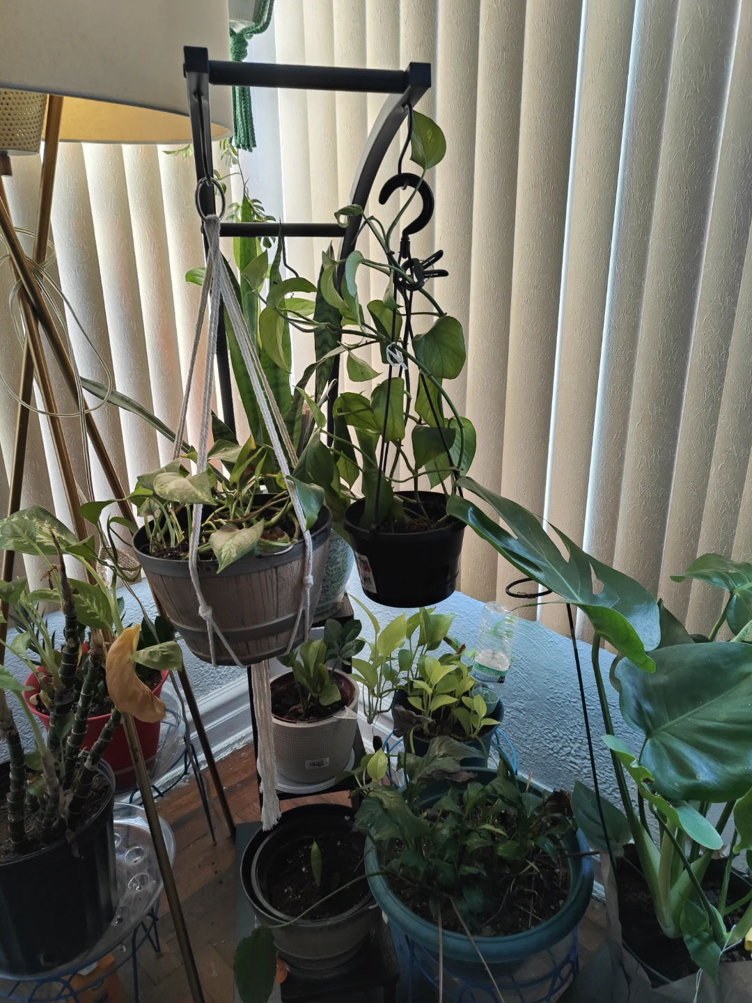 Curve Plant stand - photo 4
