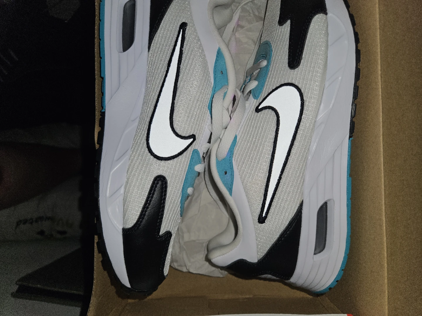 Nike Air Max Sneakers