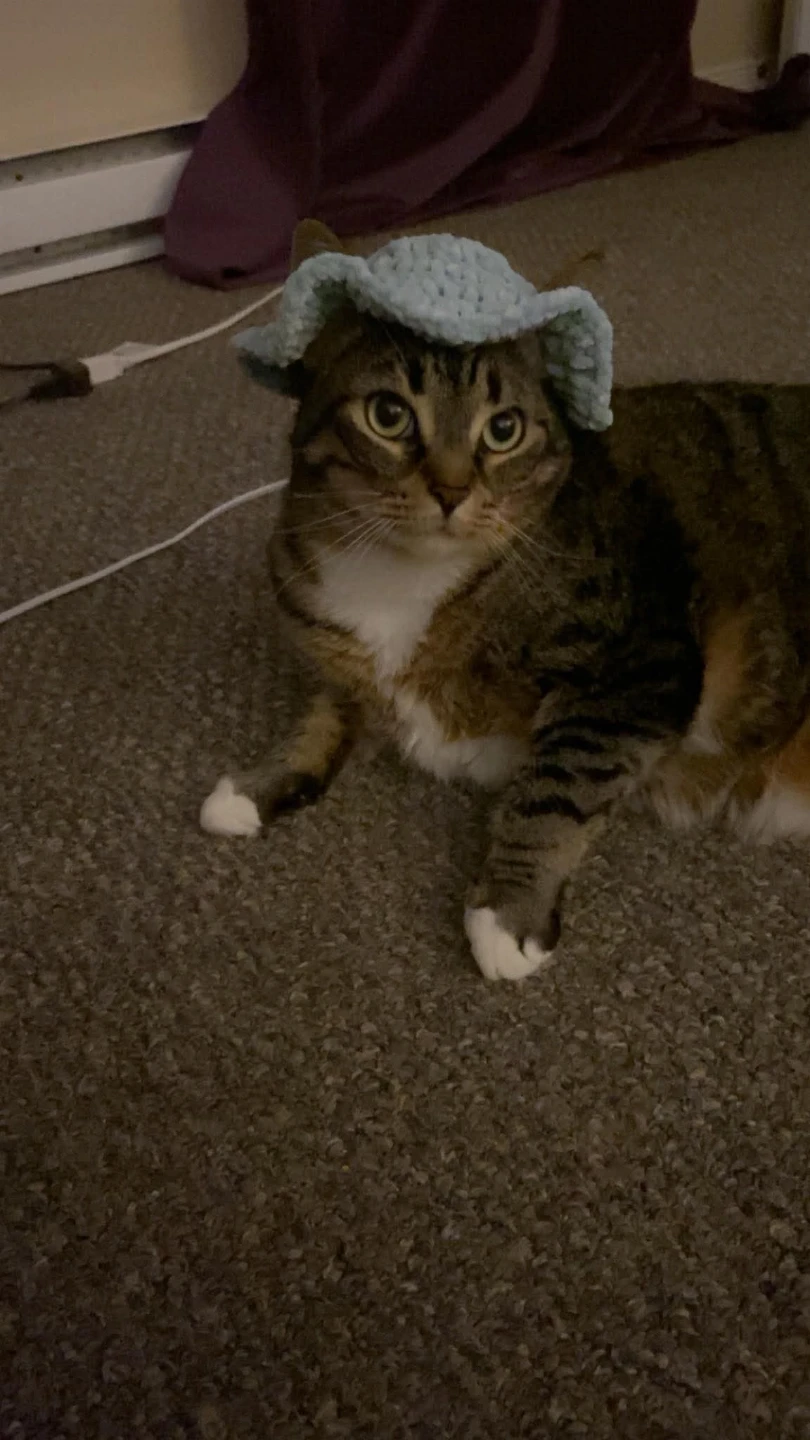 Handmade light blue crochet cat hat