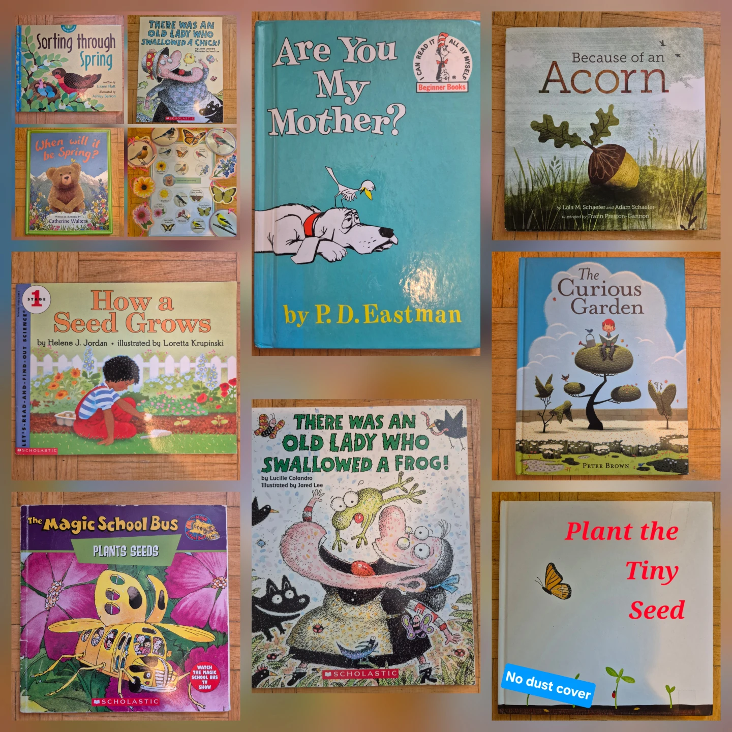 Set of 10 books for Kindergaten about Spring, Seeds, Gardening