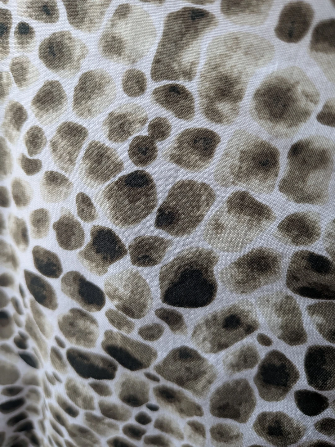 Olsen Animal Print Button-Front Midi Skirt sz MEDIUM - photo 5