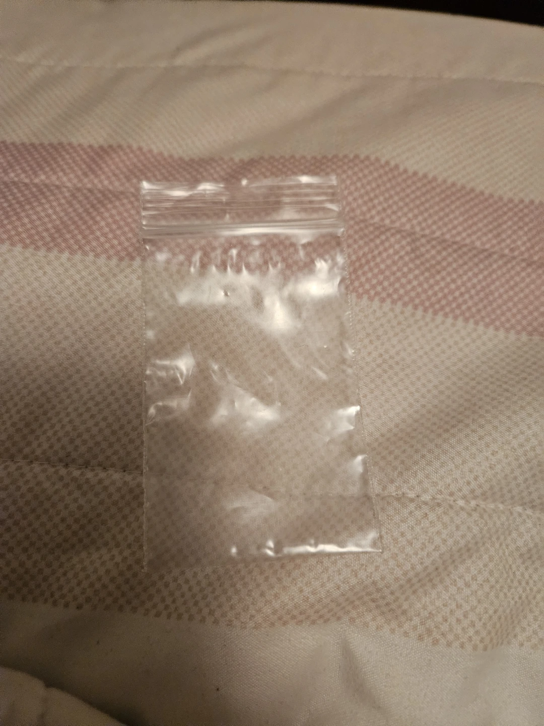 Reclosable Bags S-1291, 2" x 3", 1000/Carton - photo 2