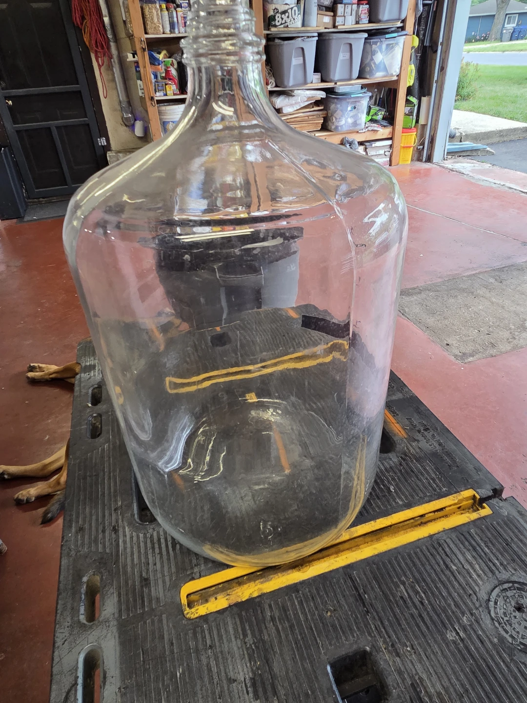 6 Gallon Glass Carboy