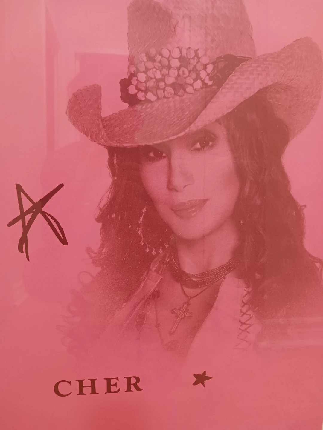 Framed Cher Autographed Print - Limited Edition 110/200 - photo 2
