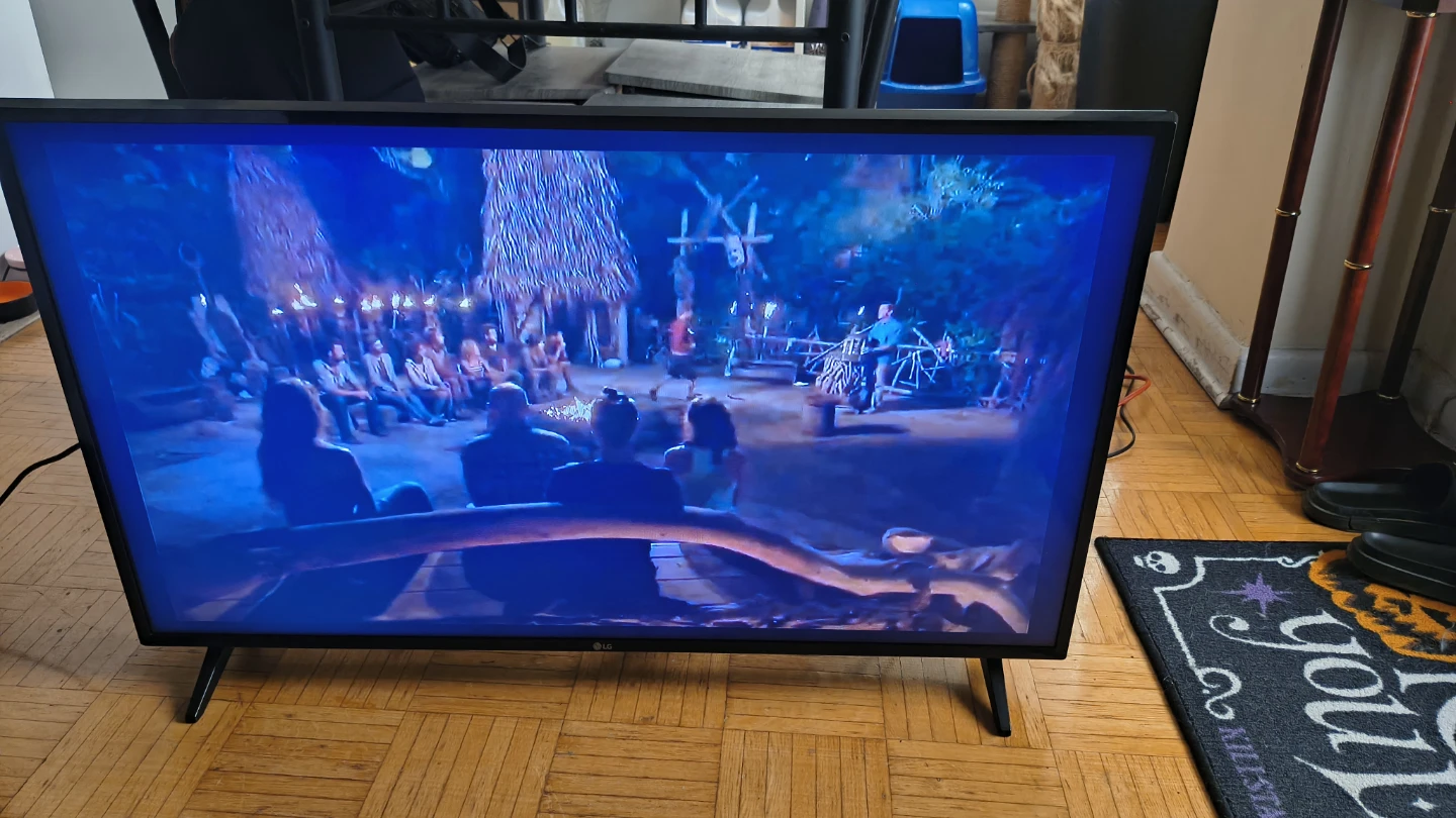 42" LG TV with Remote