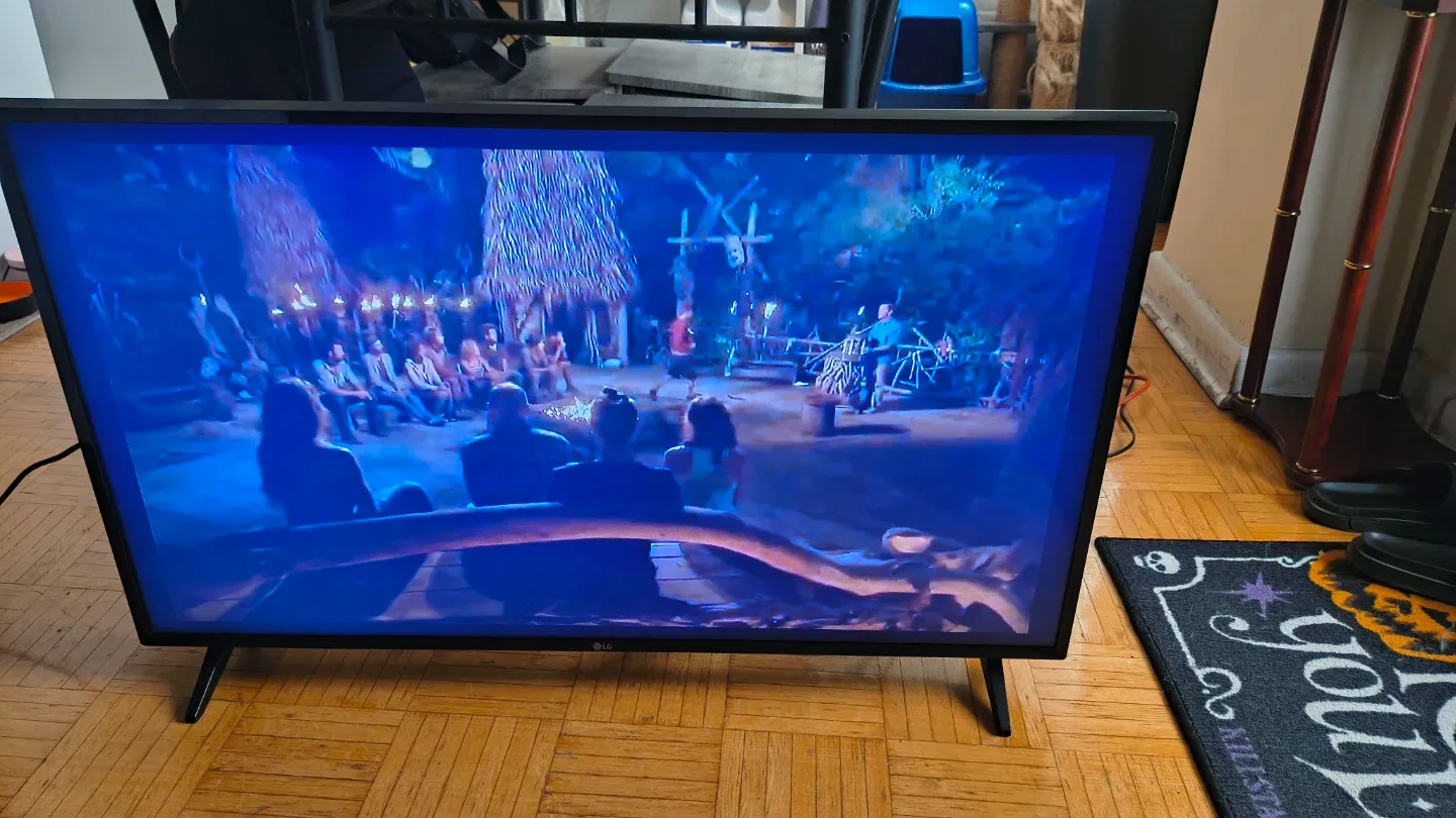 42" LG TV with Remote