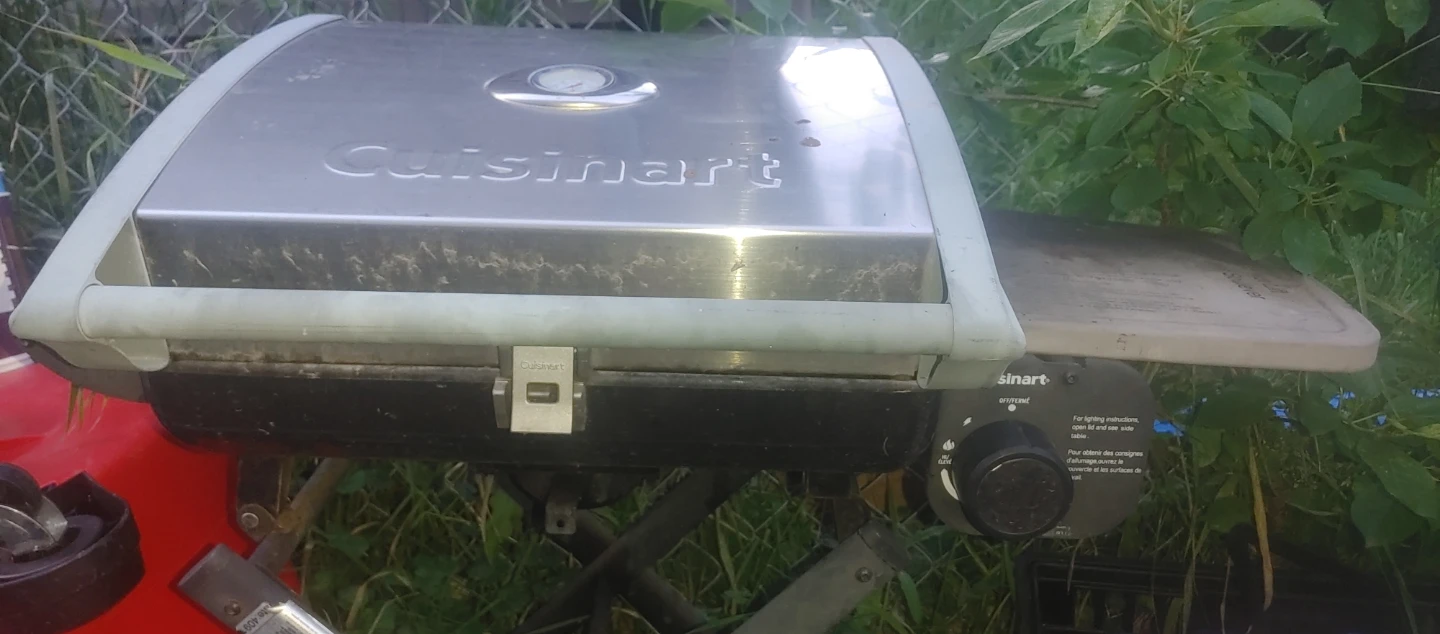 Portable bbq