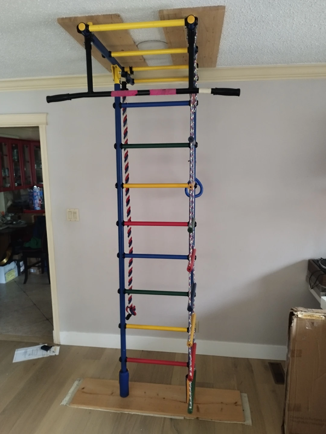 Kids Wall Mounted Gym Ladder with Accessories