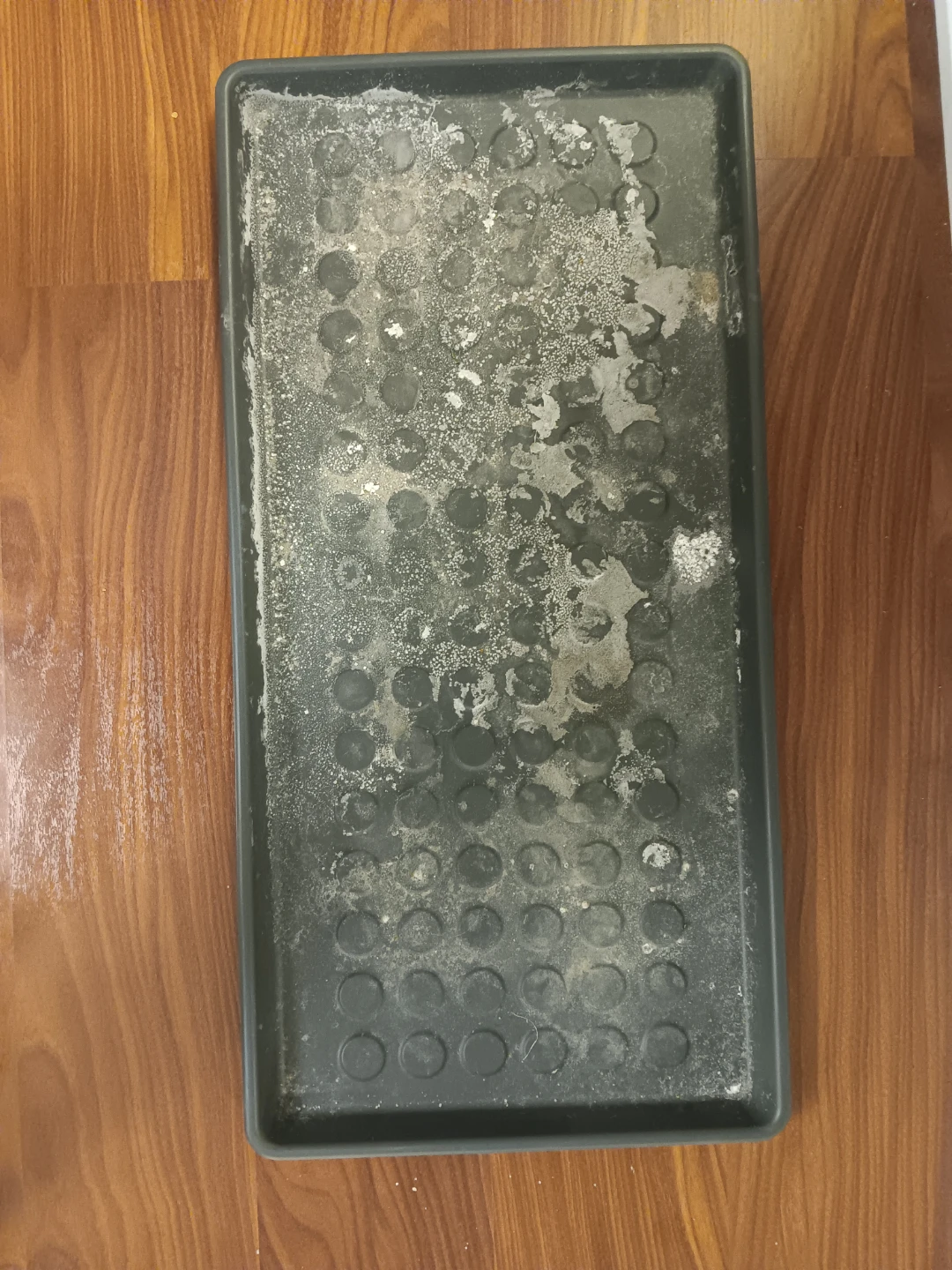 Snow shoe tray