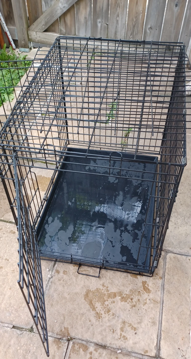 Black Wire Dog Crate with Tray Large Size - photo 4