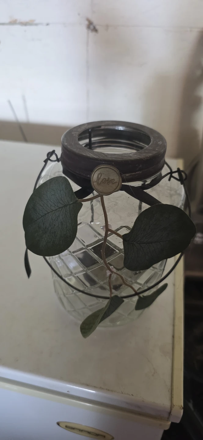 18 Decorative Glass Jar with Faux Eucalyptus - photo 2