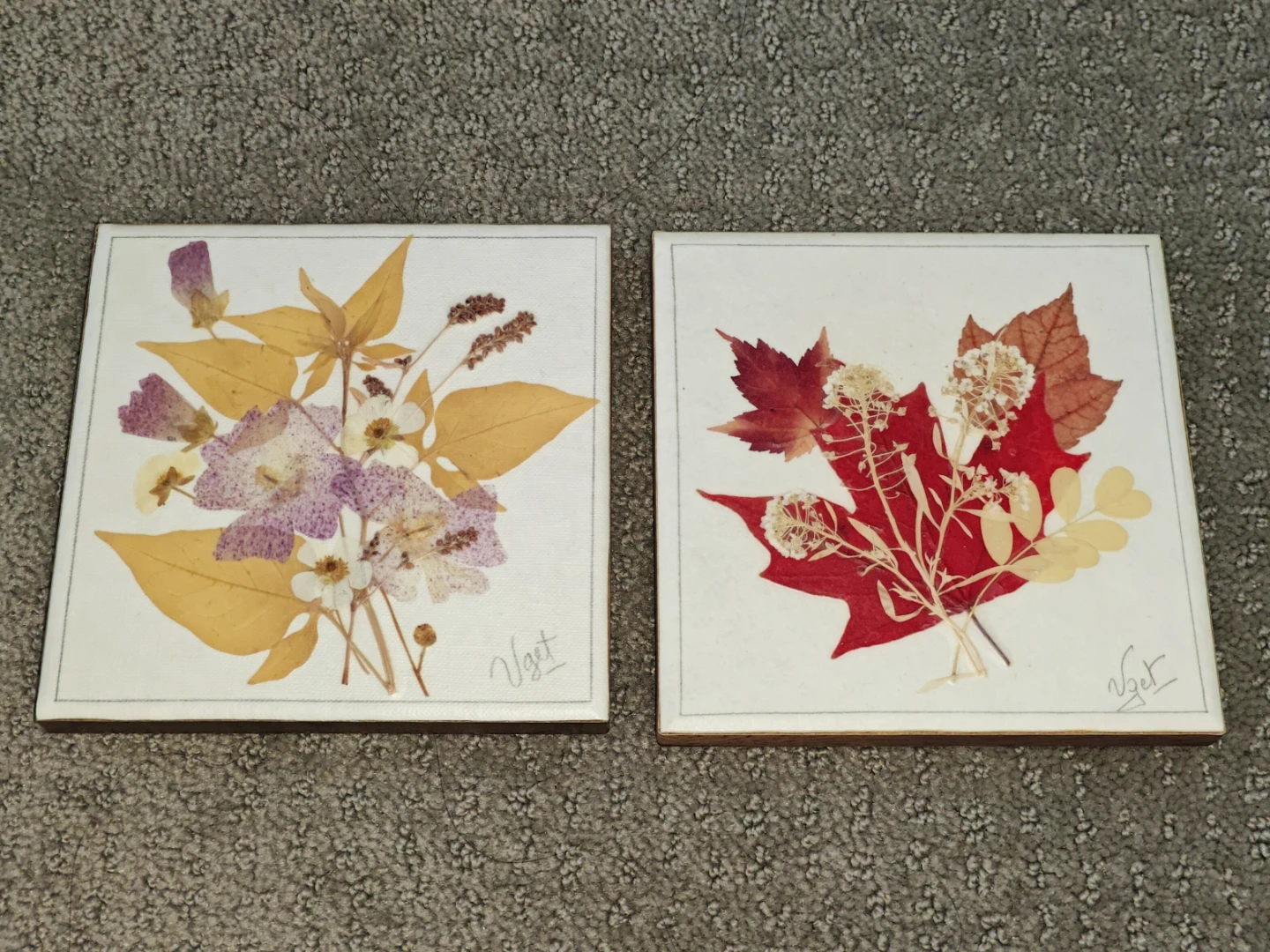 2 Canadian Hand Pressed Preserved Flower Wall Art VGET Originals