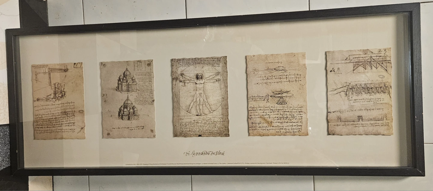 Vintage Framed IKEA OLUNDA Leonardo DaVinci Sketches