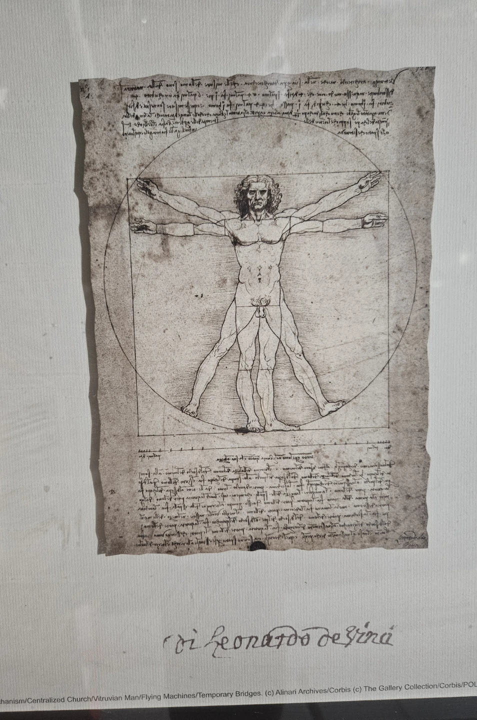 Vintage Framed IKEA OLUNDA Leonardo DaVinci Sketches - photo 2