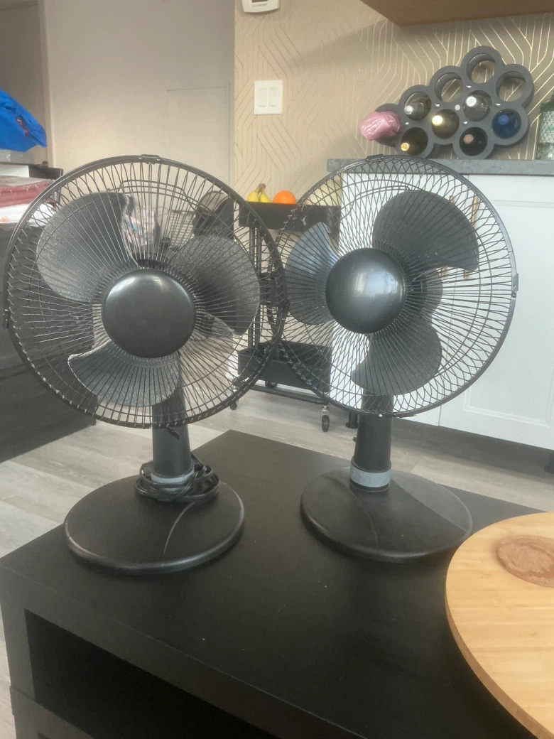 Black Portable Fan