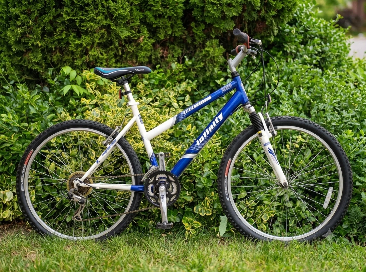 Infinity Mountain Bike