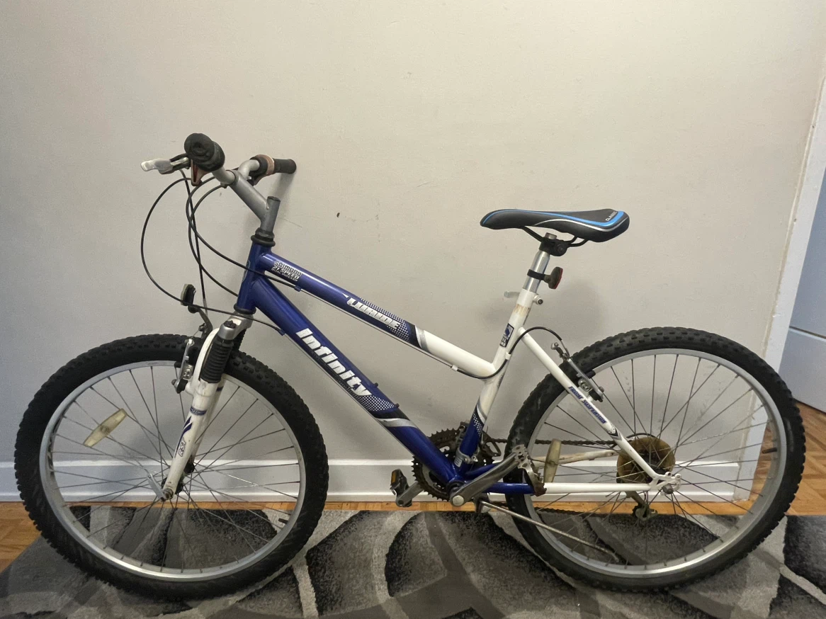 Infinity Mountain Bike - photo 4